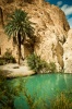 TUNEZJA_2008_058, tunezja, podróże, przyroda, oaza, woda, palma, skała, krajobraz, fotografia, kolor