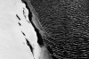KRAJOBRAZ 0028, śnieg, woda, brzeg, fala, światło, cień, krajobraz, fotografia, czarno białe, B&W,